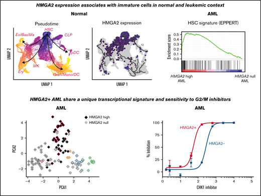 BloodAdvances's tweet photo. HMGA2 expression associates with immature cells in normal and leukemic context. https://t.co/poWP68lbNG #myeloidneoplasia #hematopoiesisandstemcells https://t.co/JM3TH2BQem