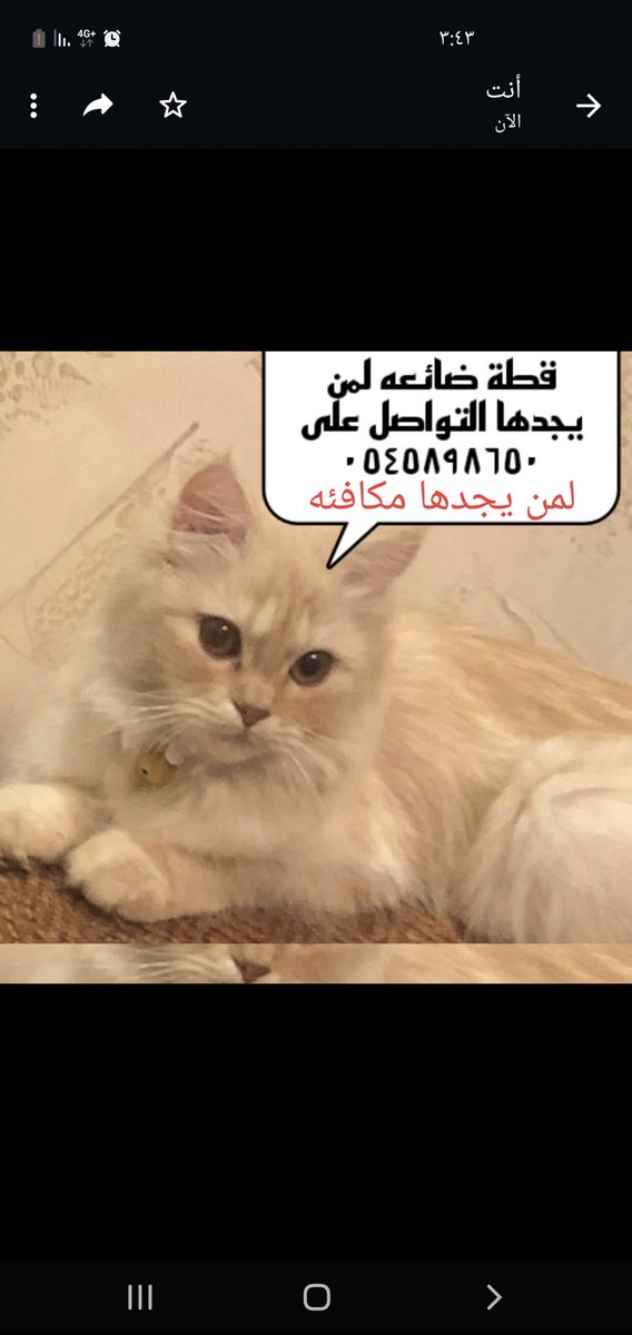 abrahem_reem's tweet photo. "بعد تنصيب تشارلز الثالث ملكاً.. ماذا قال عن زوجته كاميلا؟ 🇬🇧👑" من قِبل @aletihadae 
https://t.co/UvfXCyFpLx https://t.co/9Y5QyFSFsA