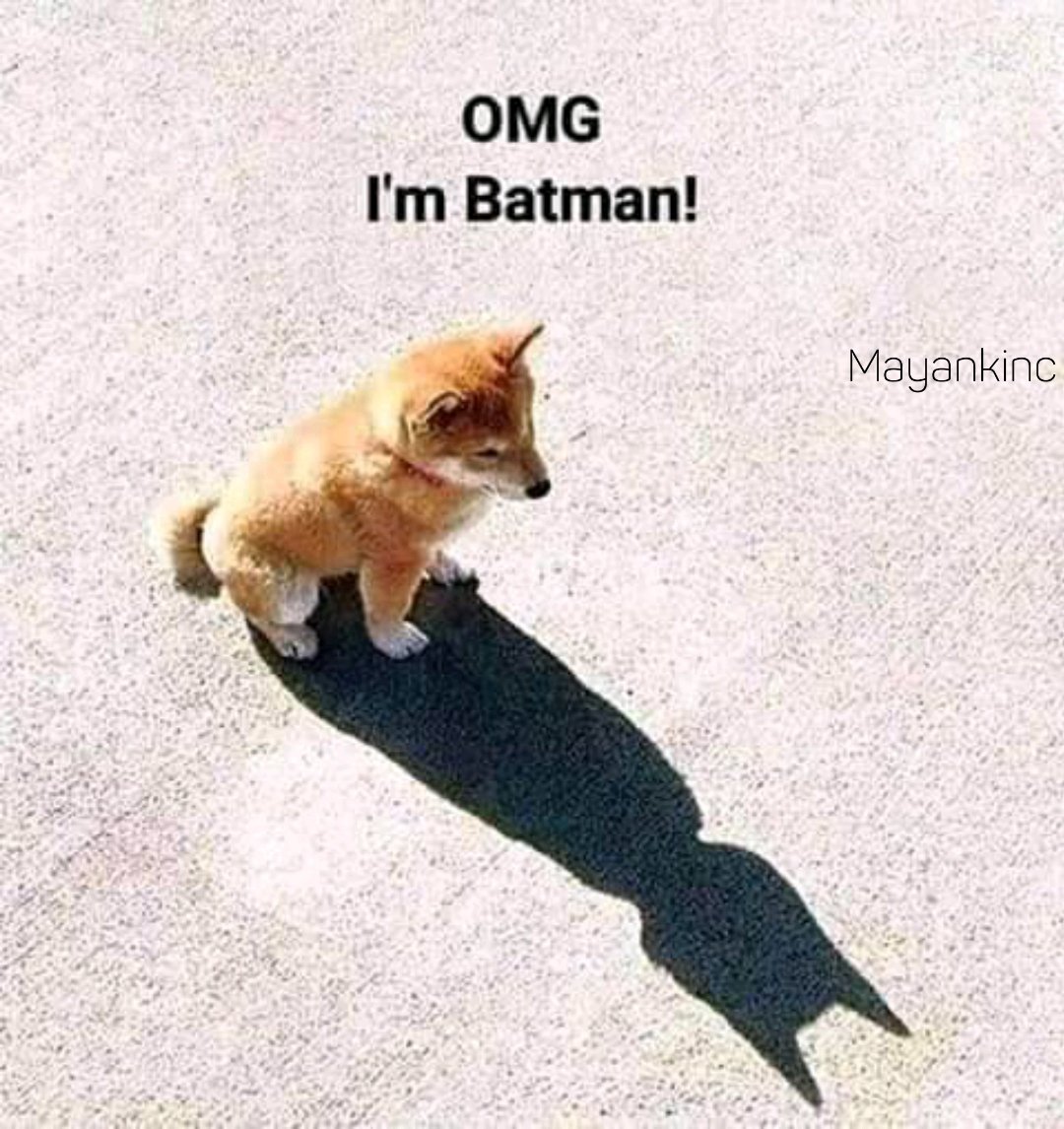 Mayankkinc's tweet photo. Just for fun😜 https://t.co/Ajem4igWDm