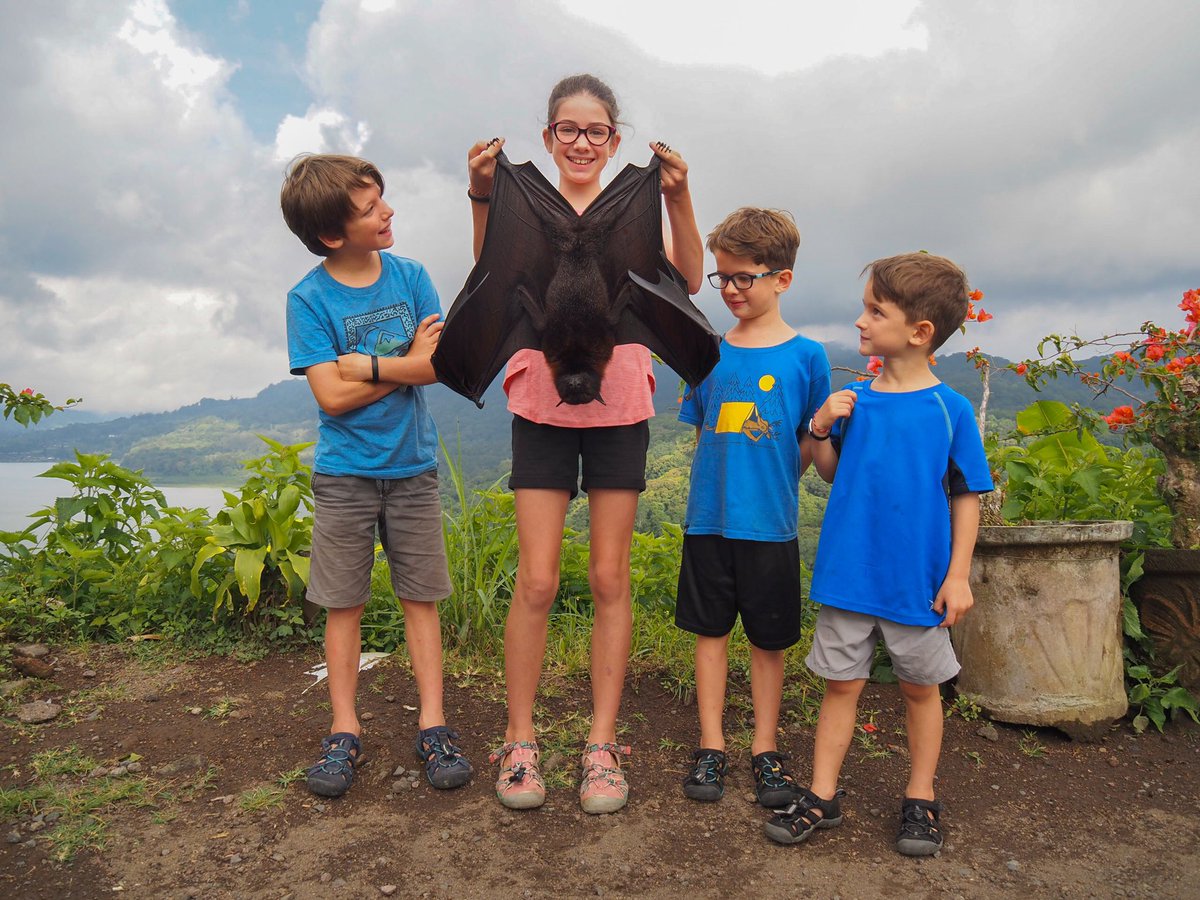 Edith Lemay tweet media