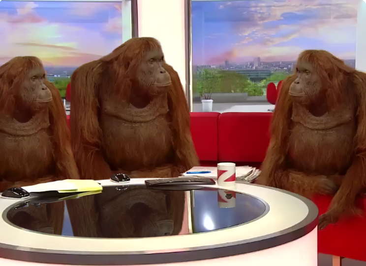 Miroslav tweet media