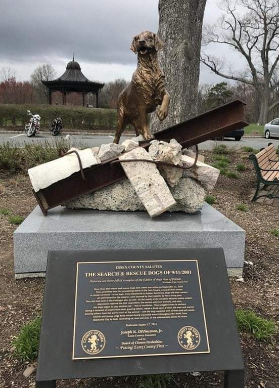InactiveGoblin's tweet photo. Today we remember all of the lives we lost on this tragic day 21 years ago.

We honor the heroism and bravery of all the first responders, civilians, and the search and rescue dogs.

The unity we displayed was profound.

And we will never forget. 🇺🇸🇺🇸

#NeverForget #911Memorial https://t.co/wTI6OIOeb2