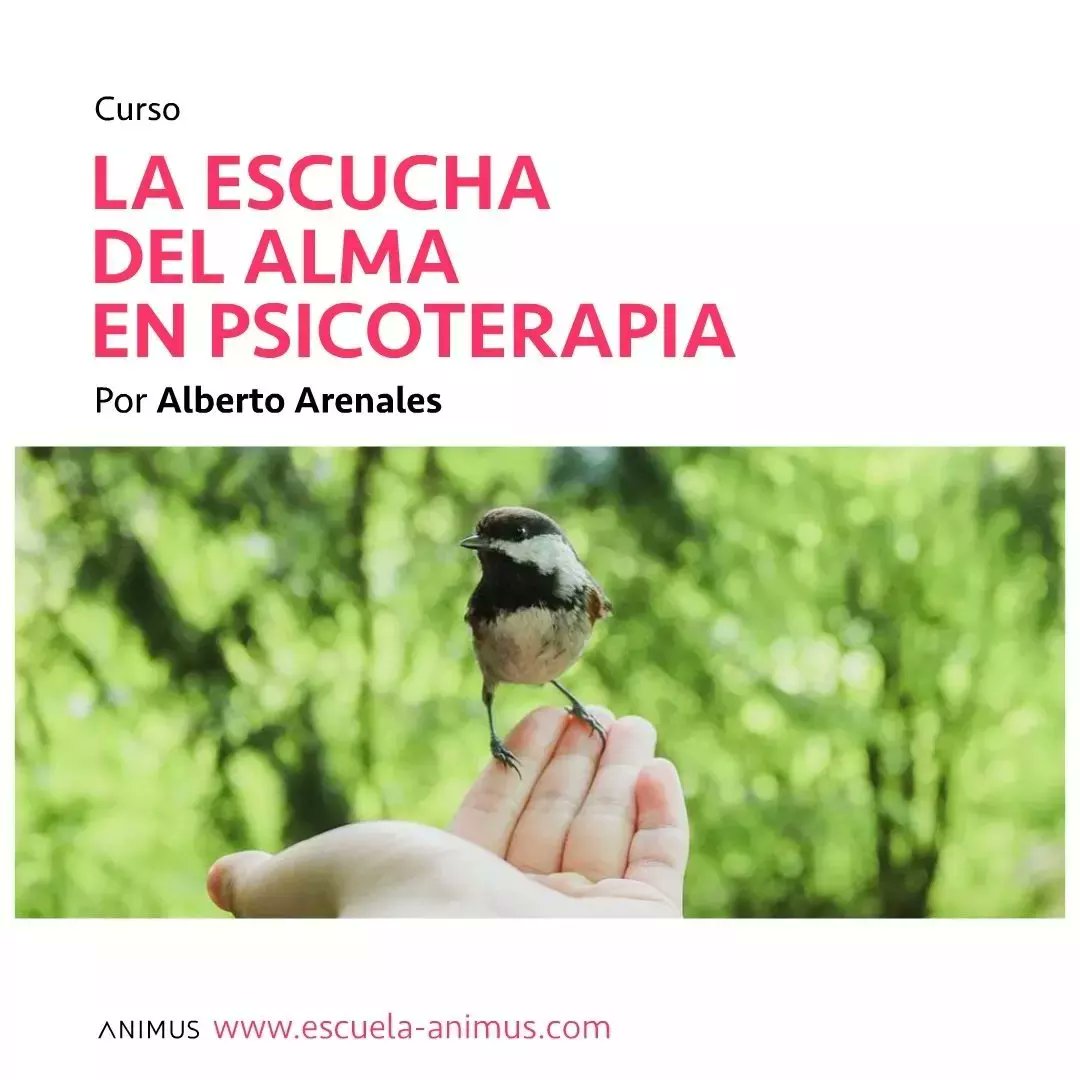 alberto arenales tweet media
