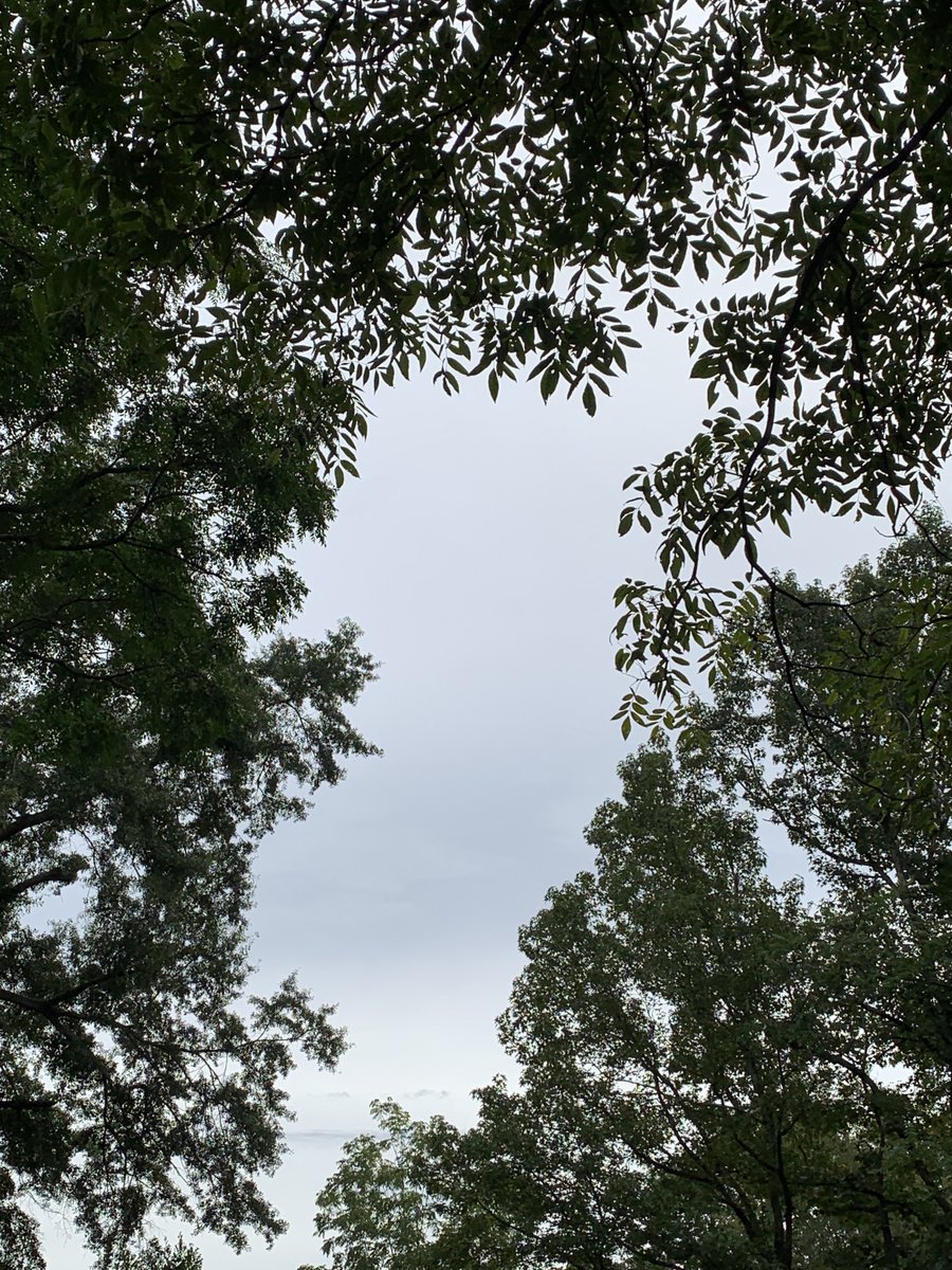 okamoto_sandra's tweet photo. Good morning, Columbus! #ColumbusGA #mydailyphoto #09/11/2022 #2022project #upverylate #completelycloudy #suntryingtobreakthrough #warm&humid #60%chanceofrainforecast #nobreeze #birdssubdued #cicadasloud #neighborsdogsbarking https://t.co/DO44pqGwO5