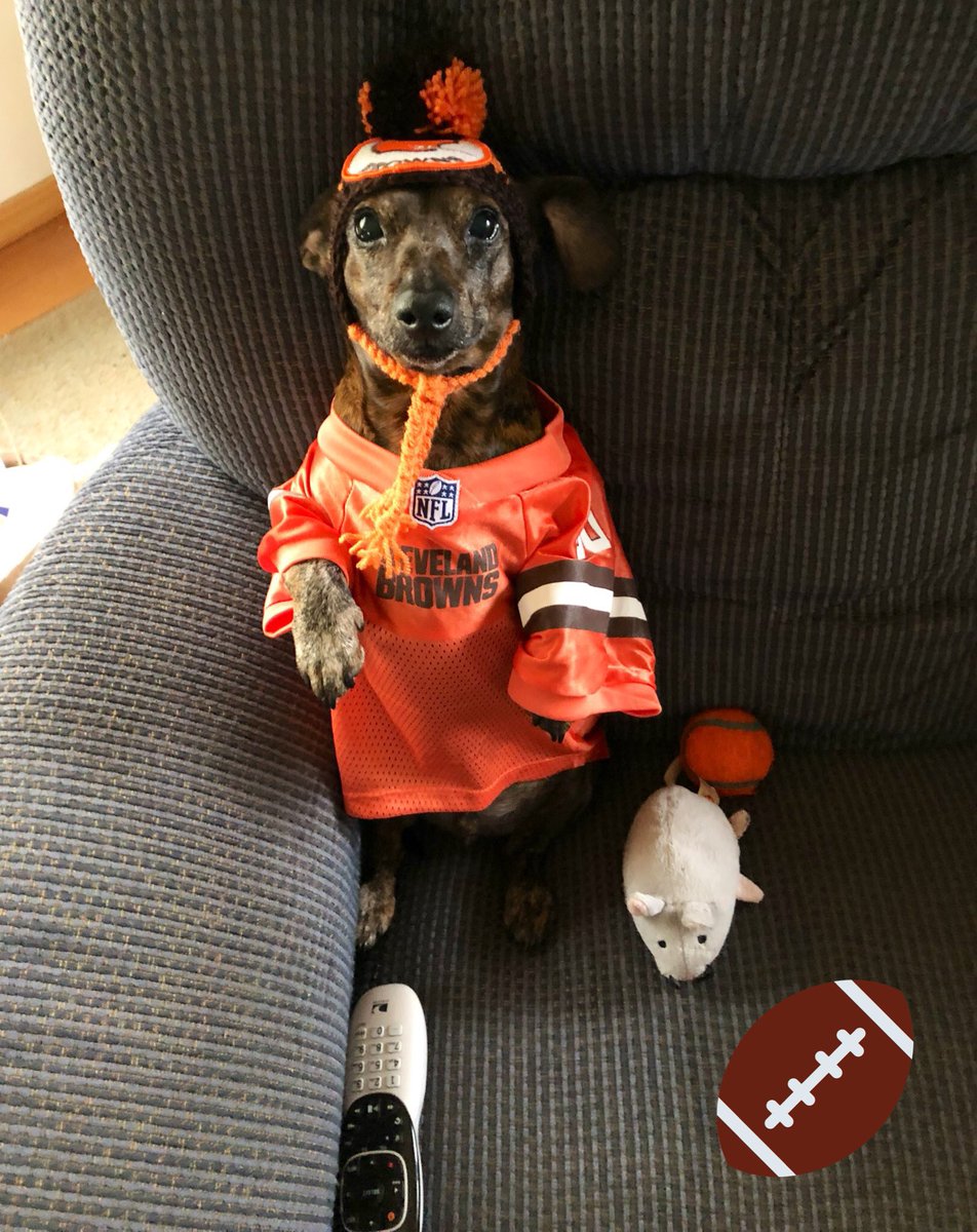 #GoBrowns Finally game day!🏈let’s gooooo! We are so ready to start the winning trend.