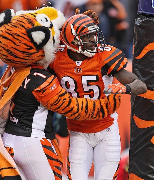 ochocinco's tweet photo. 🐅: Game Day https://t.co/9aKspIpUYr