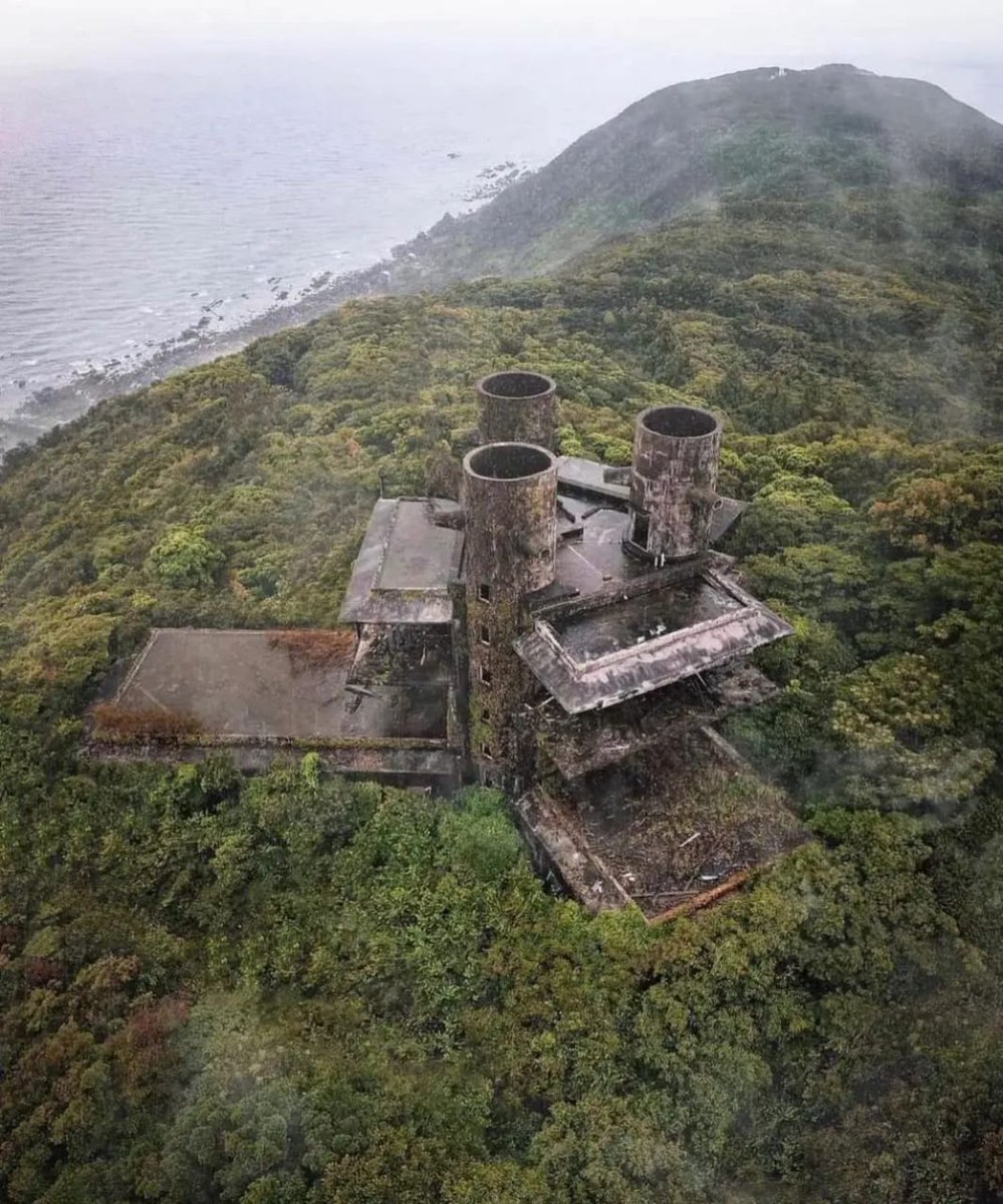 BotanicalForum's tweet photo. Nature covers the abandoned factory in Japan π
#GoGreen #BotanicalForum https://t.co/aBDzlbPmxi