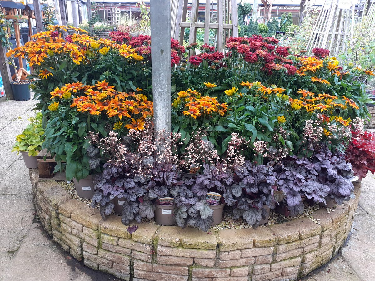 Stephen H. Smiths GC tweet media