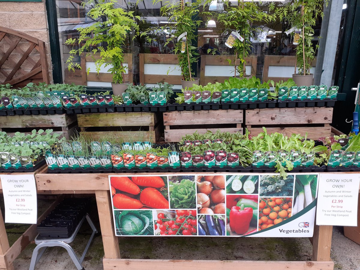 Stephen H. Smiths GC tweet media