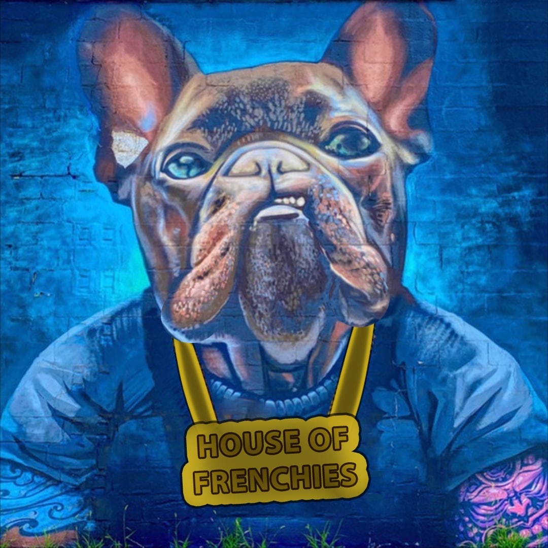 frenchiesdog's tweet image. Our House is pleased
to announce our partnership with PDO.finance.
 a brilliant DeFi solution,allowing to raise funds and deepen liquidity without harming the project by dumping tokens. 
Details in an upcoming AMA! 
#DeFi
#memecoin 
#Frenchie