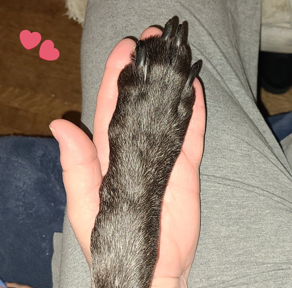 #NewProfilePic