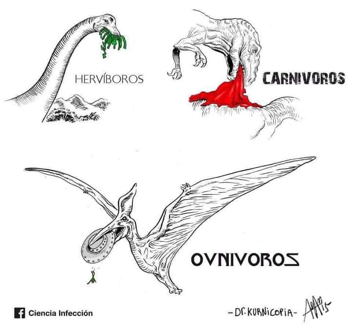 EnsedeCiencia's tweet photo. https://t.co/xr3WO6wsQO