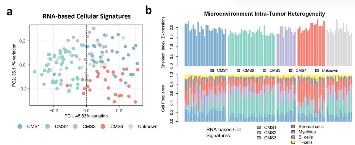 Our paper showing how genetic/microenvironmental heterogeneity impacts colorectal cancer progression is finally published! Thanks to our friends and collaborators who made this work possible! <a href="/UCIBIO_Research/">UCIBIO</a> <a href="/IMMolecular/">iMM</a>
nature.com/articles/s4200…