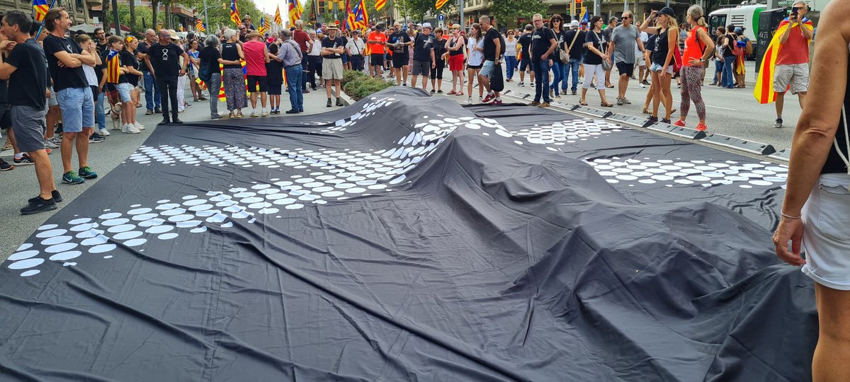 🌊 revoltats 🌊 tweet media