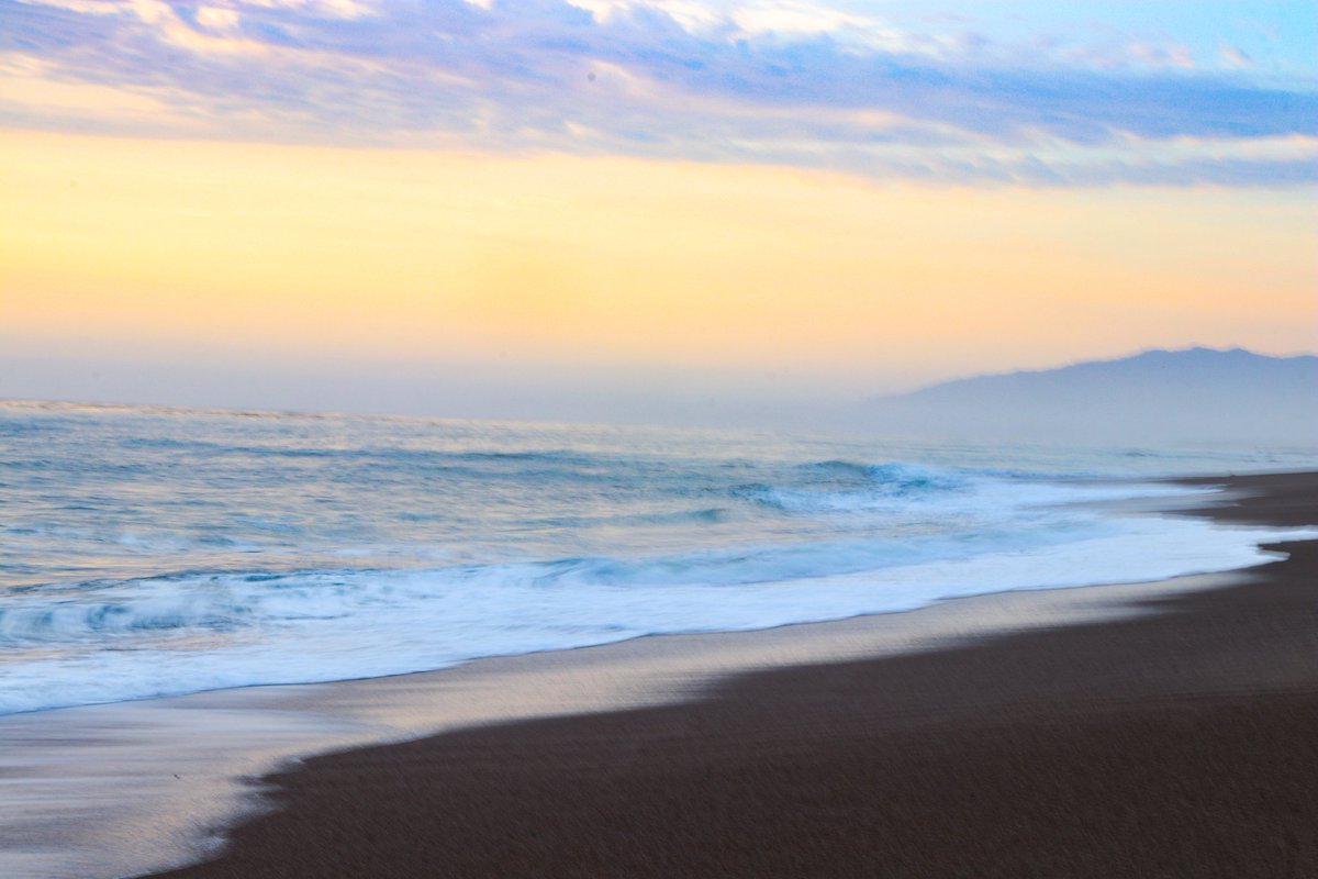 Ted Fletcher tweet media