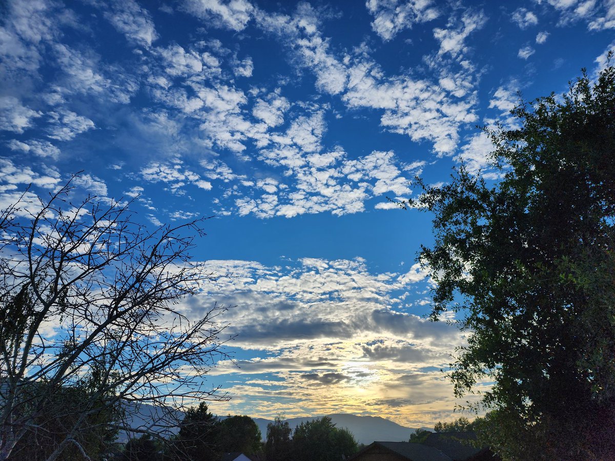 Tracy Scott Kelly tweet media