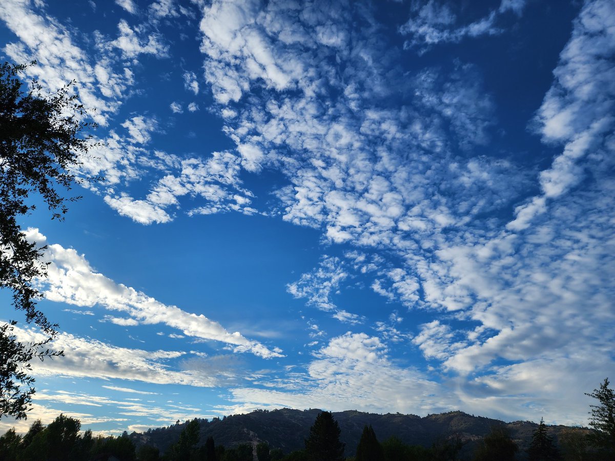 Tracy Scott Kelly tweet media