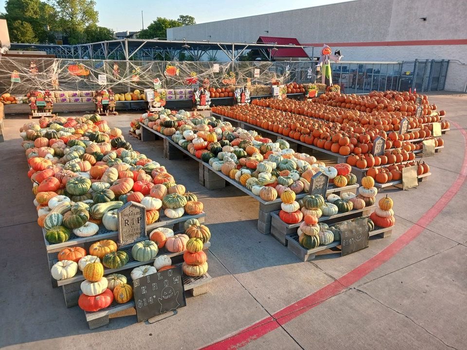 Did someone say pumpkins?! 🎃 HD 6804 Skillman in Dallas, Texas is loaded up!!