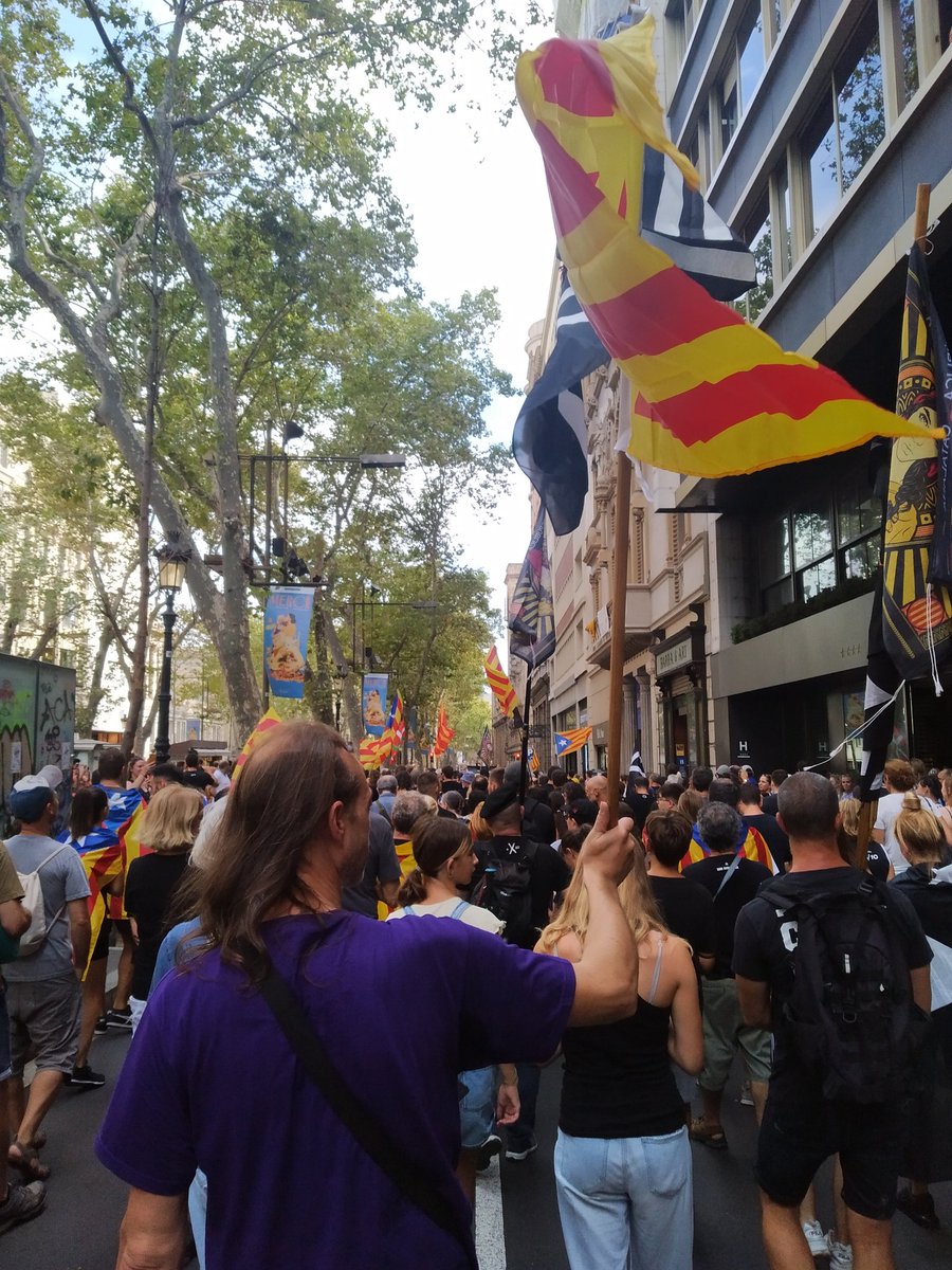 Les forces d'ocupació ens han tallat el pas però no ens fan callar

#Diada2022 
#CDRenXarxa