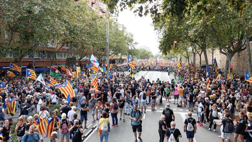 Laura Catalan Asenjo tweet media