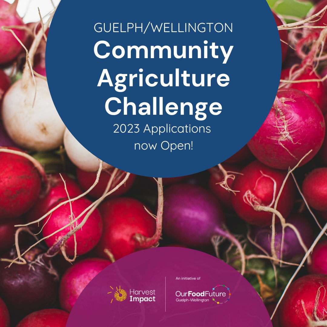 HarvestImpactGW's tweet photo. The Community Agriculture Challenge is a call for projects, offering a total of $20,000 in funding to 10 project proposals! 🍅

Applications are being accepted until October 17, 2022 for the 2023 growing season! 🌱

https://t.co/VYh7T0GjJW 

#grants #communityag https://t.co/6avySxBcM0