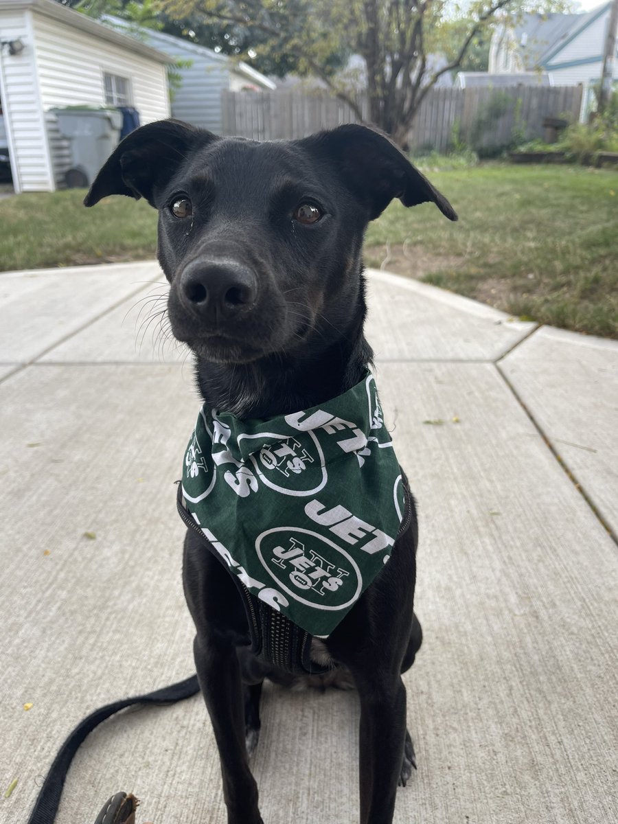 He’s ready for the start of the <a href="/nyjets/">New York Jets</a> season! #NYJets