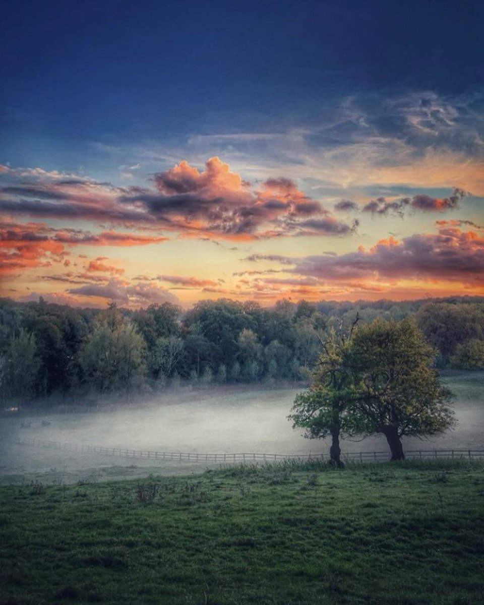 cotswolds_uk's tweet photo. ✨Golden Hour in The Cotswolds✨ 

Some of the most magical Cotswold views can be spotted during golden hour. ✨  

📸 /IG: albionadventurer ✨ 

#visitthecotswolds #cotswolds #lovethecountryside #sunscapes #goldenhour #scenery #escapetothecountryside #cotswoldslife #sunshine https://t.co/qt20QxasZi