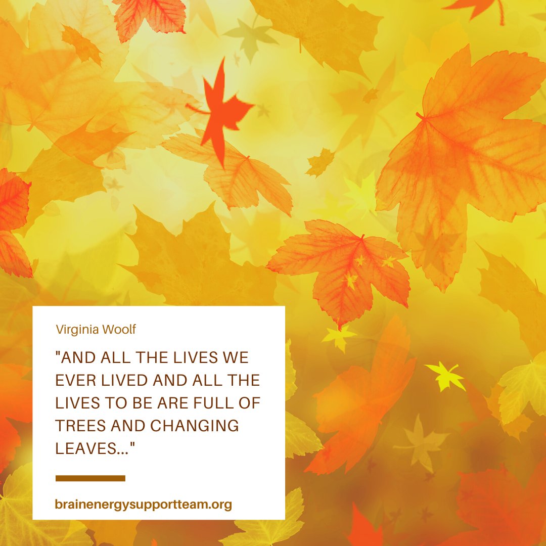 brainenergyteam's tweet photo. All all the lives we ever lived and all the lives to be are full of trees and changing leaves. 🍂🍁🌳🌲

#EmpowerYourBrain #SundayThoughts #Growth #Change #Life #FallVibes #FallSeason #Fall #Autumn #FallThoughts https://t.co/zBPjbShuIp