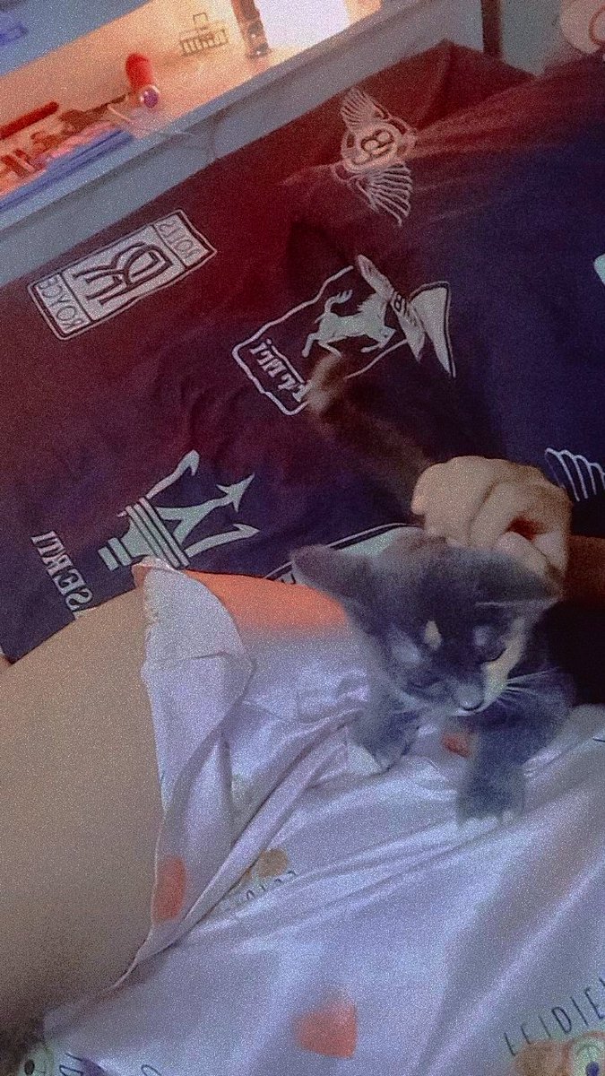 ห้องเรามีแงวว🐈 #imgforลั่น