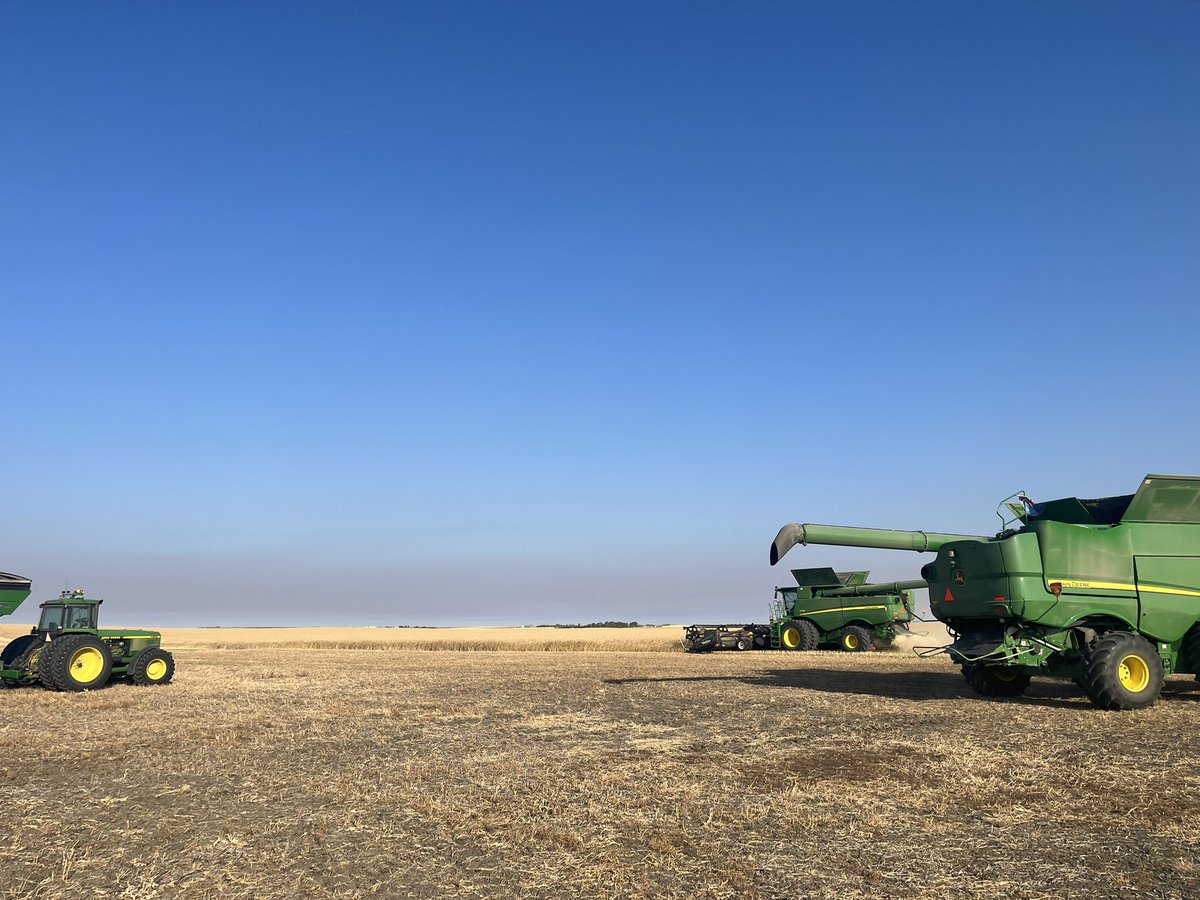 Found the field we were looking for