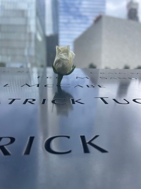 Margolis Healy tweet media