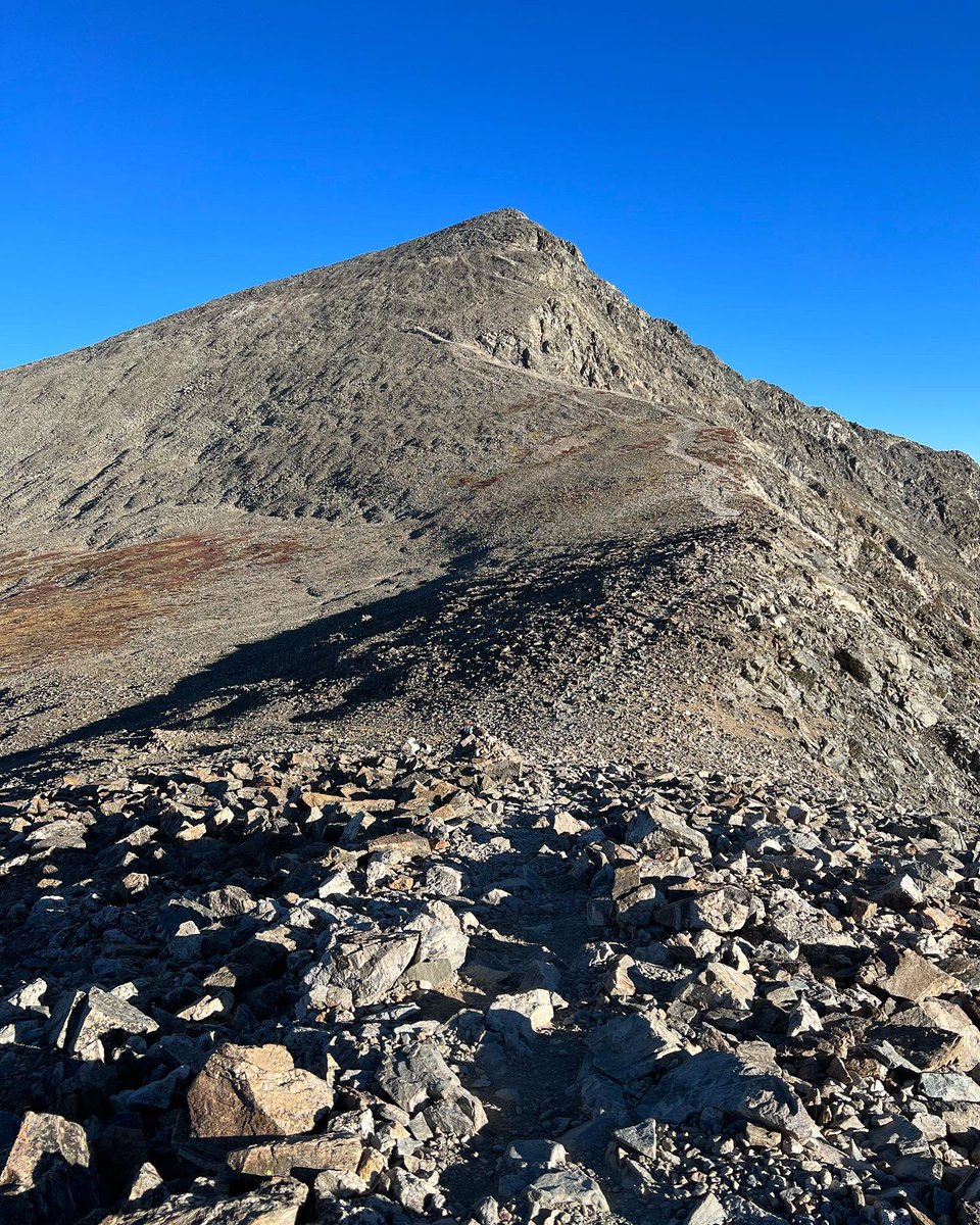 Katie Melbourne tweet media