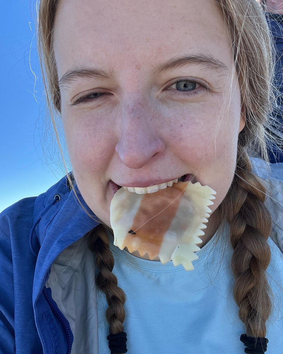 Katie Melbourne tweet media