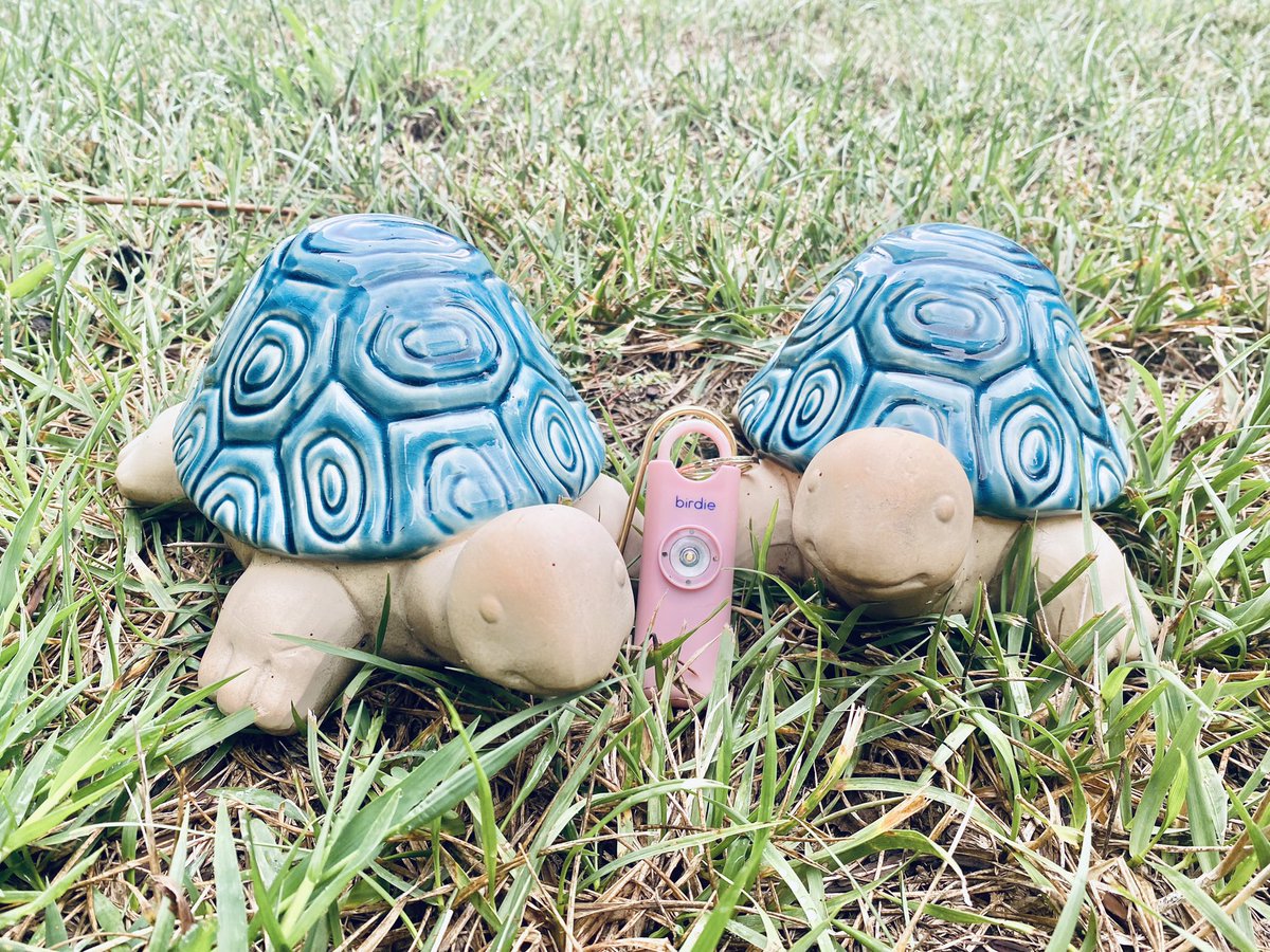 #ad These #turtles think you need a @shesbirdie #keychainalarm! Code: GRACIE15 bit.ly/3O7R1tr #shesbirdie #shesbirdiepartner #shesbirdieambassador #chirploudly #NeverForget #911 #september11 #september11th #september #christmas #christmasshopping #holidays #metoo