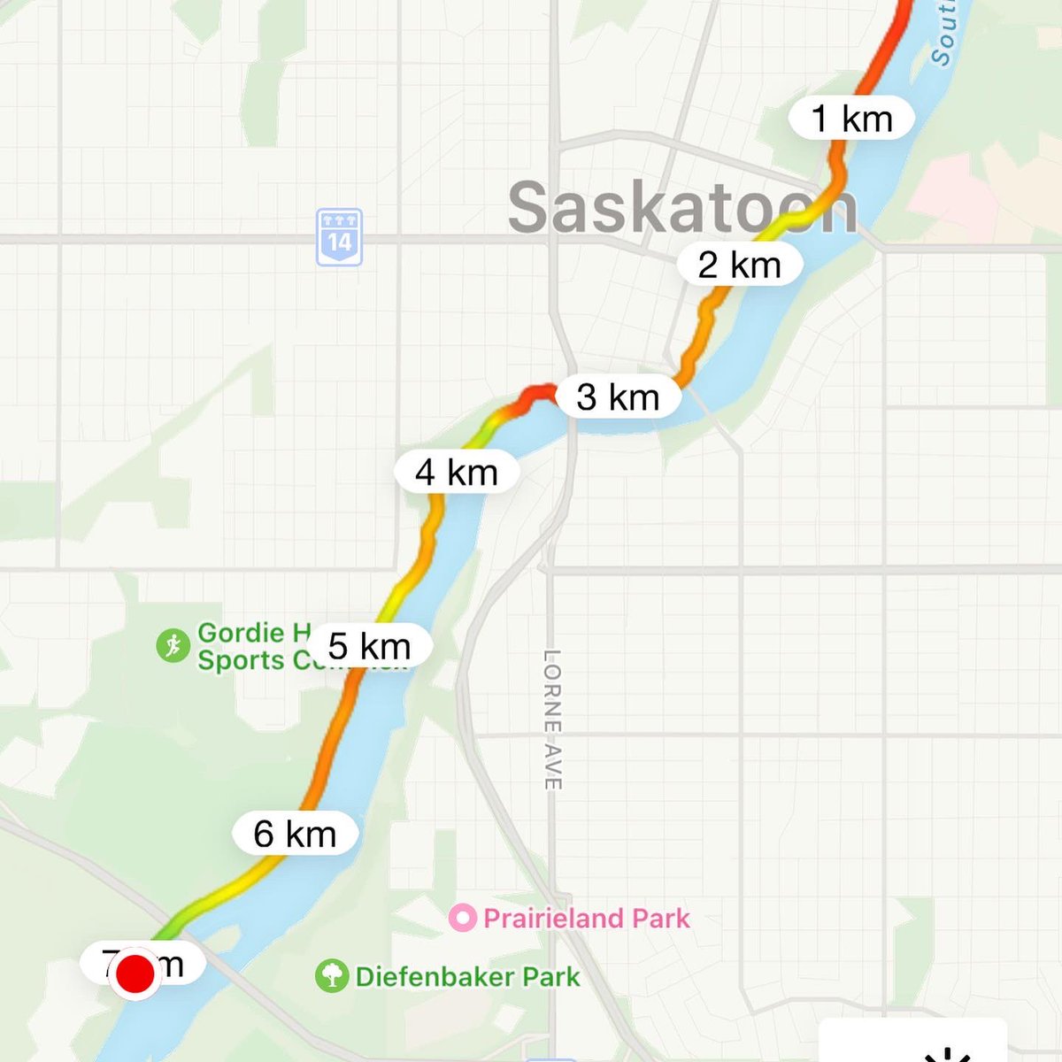 ChomitzkyJustin's tweet photo. The sun is shining πthe birds π¦
are singing and there is a nice breeze keeping me cool as I did 7km for my Sunday morning run πββοΈ Couldnβt ask for better weather! #run #nrc #writerswhorun #lightninglegs #marathonman #jtrain #ukrainianspeeddemon #ukrainianflash #sundaymorningrun https://t.co/hTBcr0CC4z