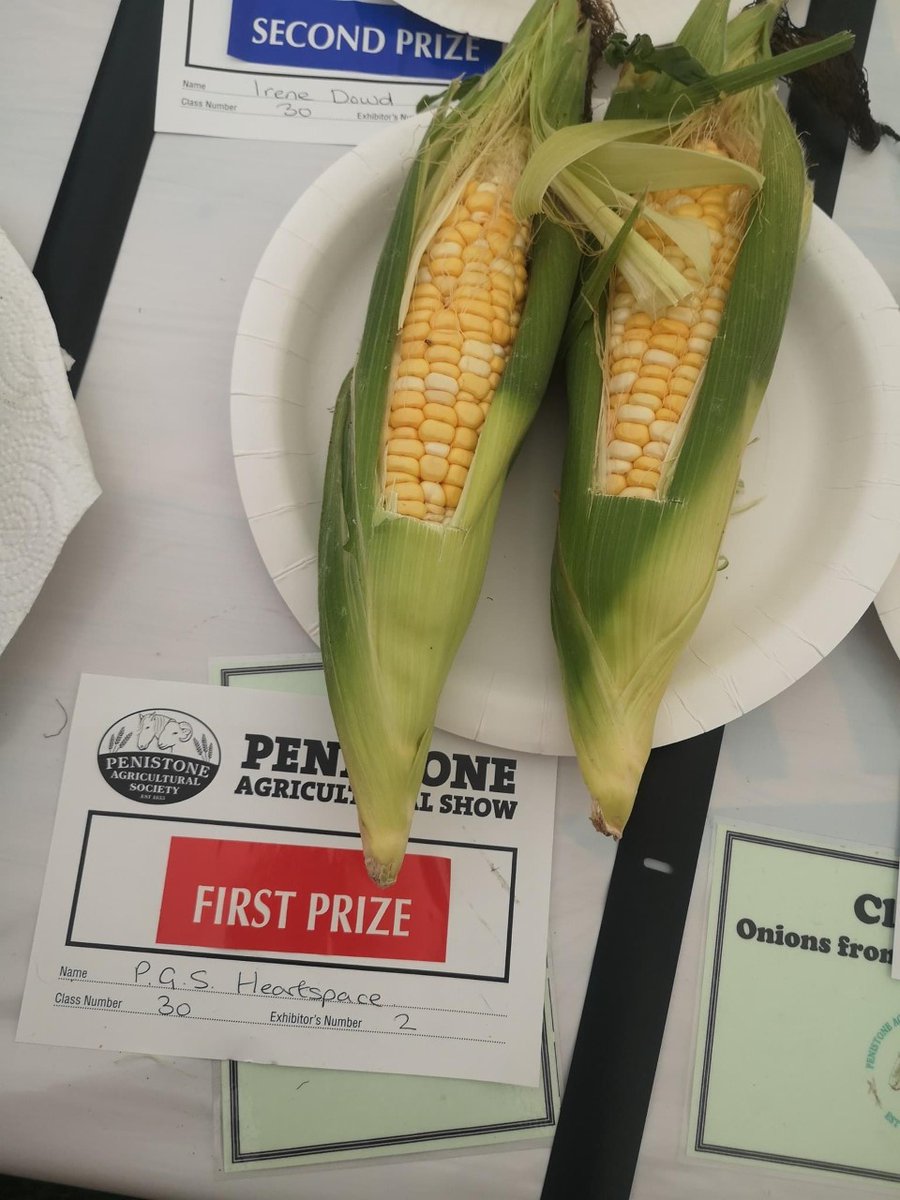 PenistoneGS's tweet photo. Congratulations to our wonderful @HeartSpace_PGS students and Mr Montgomery for their wonderful entry and prizes at this years Penistone Show #BeBrave  #AimHigh https://t.co/Gr01FGcJPP