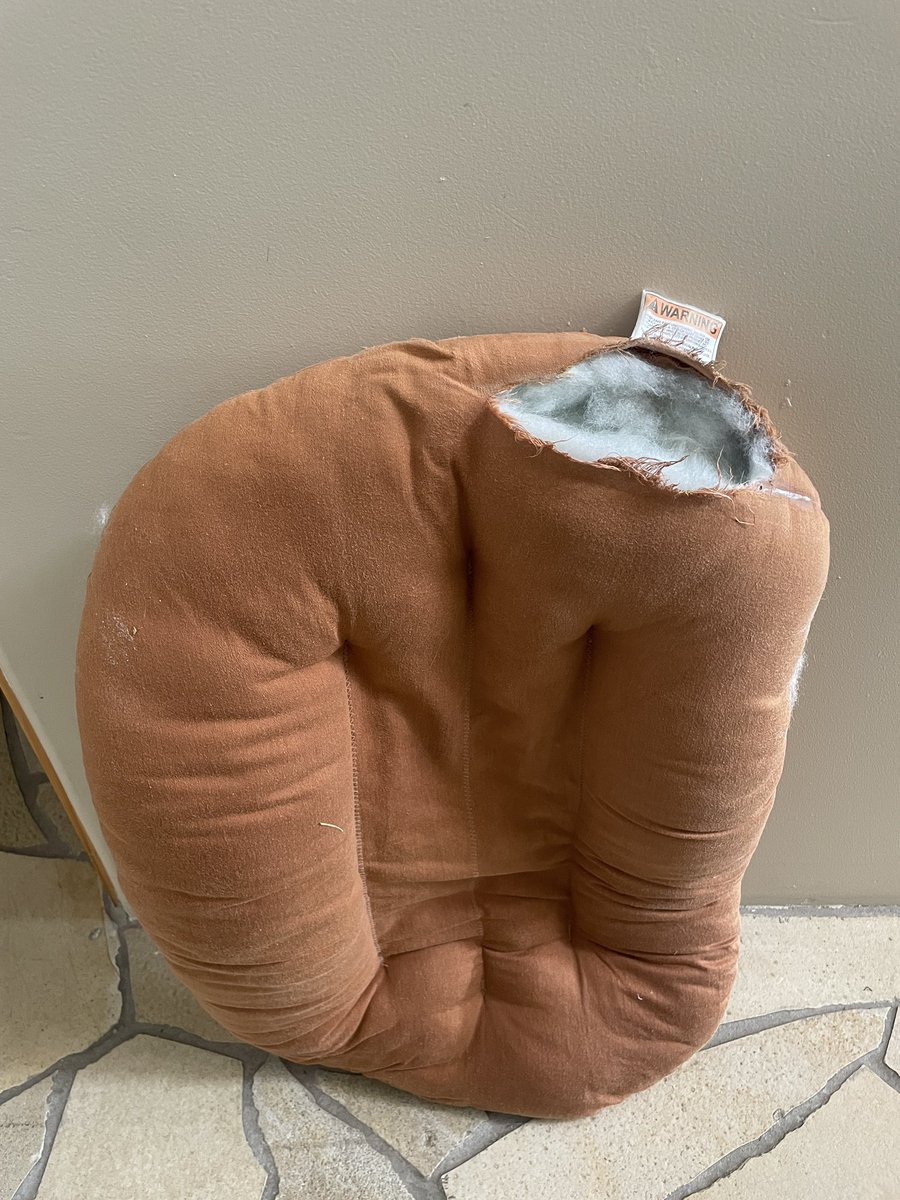 bradykey's tweet photo. @SnuggleMe_ I thought these were machine washable? After one cycle, our Snuggle Me completely ripped. Did I do something wrong? https://t.co/HRUbFEcRNM