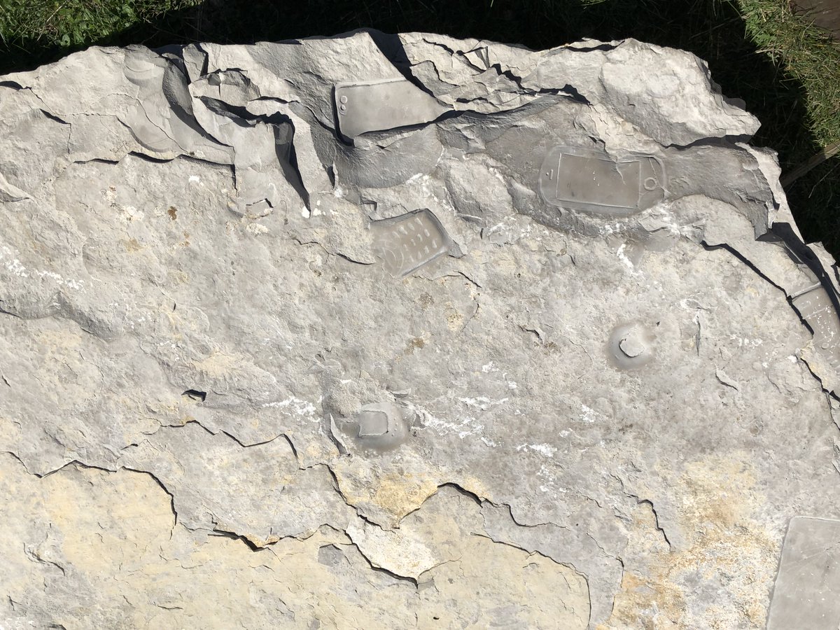 A limestone from the future. The dating was done with smartphone fossils, several of which are visible in the picture 😀. Artwork at #MontAigoual, South of France.