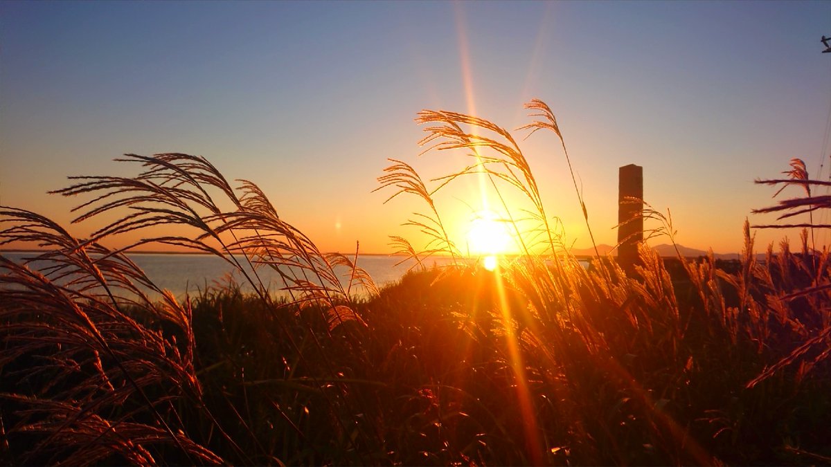 1101_KLOP's tweet photo. #野付半島
#道東
#北海道
#鹿
#夕日 https://t.co/1RGJUrSY44