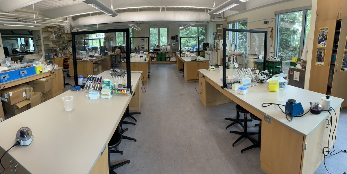 Classes FINALLY start tomorrow. Prep is done, I am ready for my students. Let’s go!