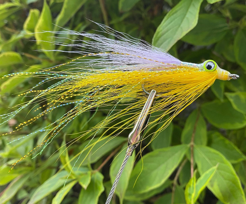 Saltwateronfly's tweet photo. Love the eyes, cool look
@la_moucheuse
Clouser Minnow presque classique 💛💜
La jaune et verte a eu du succès, j’avais envie d’essayer une autre combinaison de couleur.

#stripedbassfishing #bassfishing  #clouserminnow
#saltwaterflyfishing #girlswhoflyfish
#girlsfishtoo https://t.co/1A0kJD8gvT