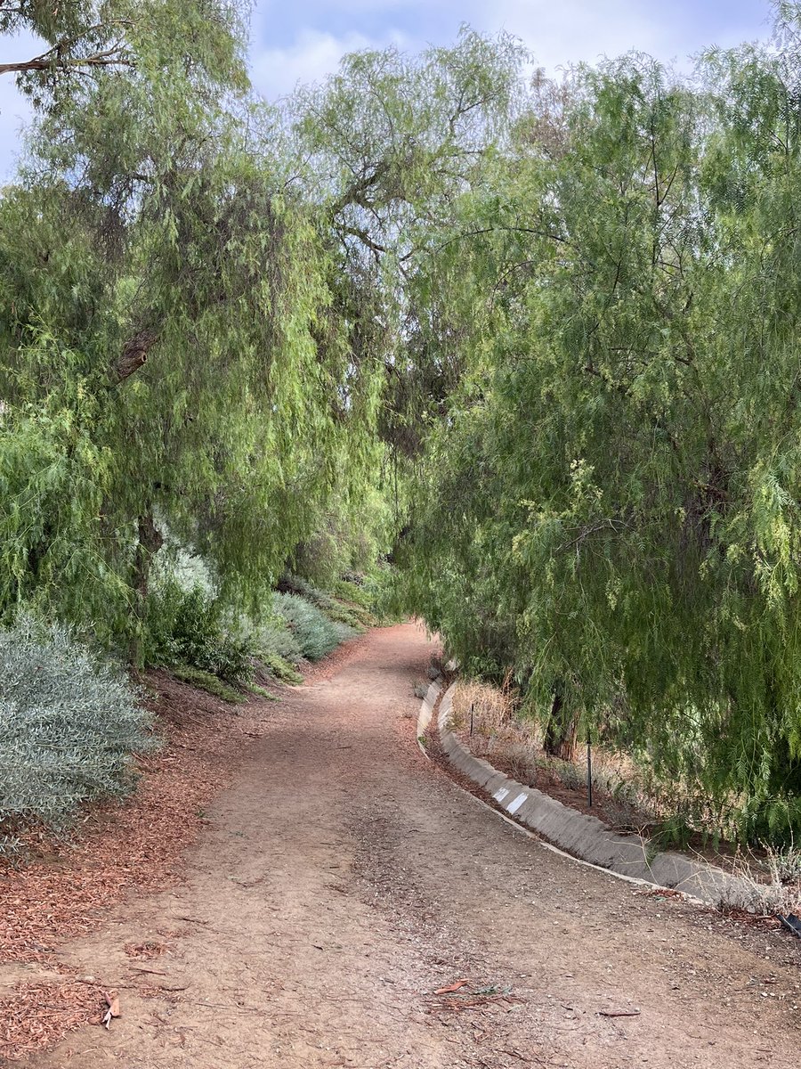 jmartinez727's tweet photo. So grateful for cooler temps and the beauty of God‘s creation all around me. 😊

#Go4aHike 

#NewKidneyNewLife 💚
#TYJesus ✝️
#Grateful4Today 

https://t.co/IJeEA9s2Yn https://t.co/vbHBMIbDGw