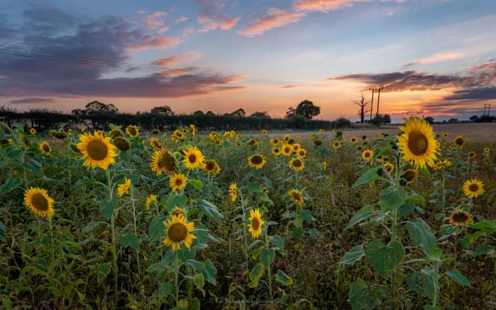 Perton Resident Page tweet media