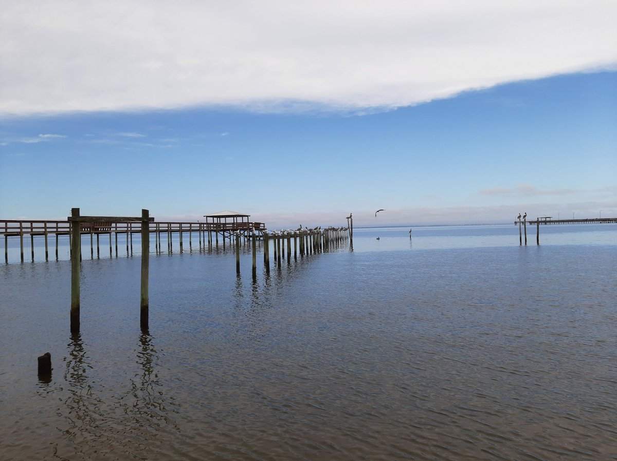 radiorealtor's tweet photo. My office view today. #MobileBayMakersMarket #Fairhope @MiddleBayMetal https://t.co/n4OMnH7iYL