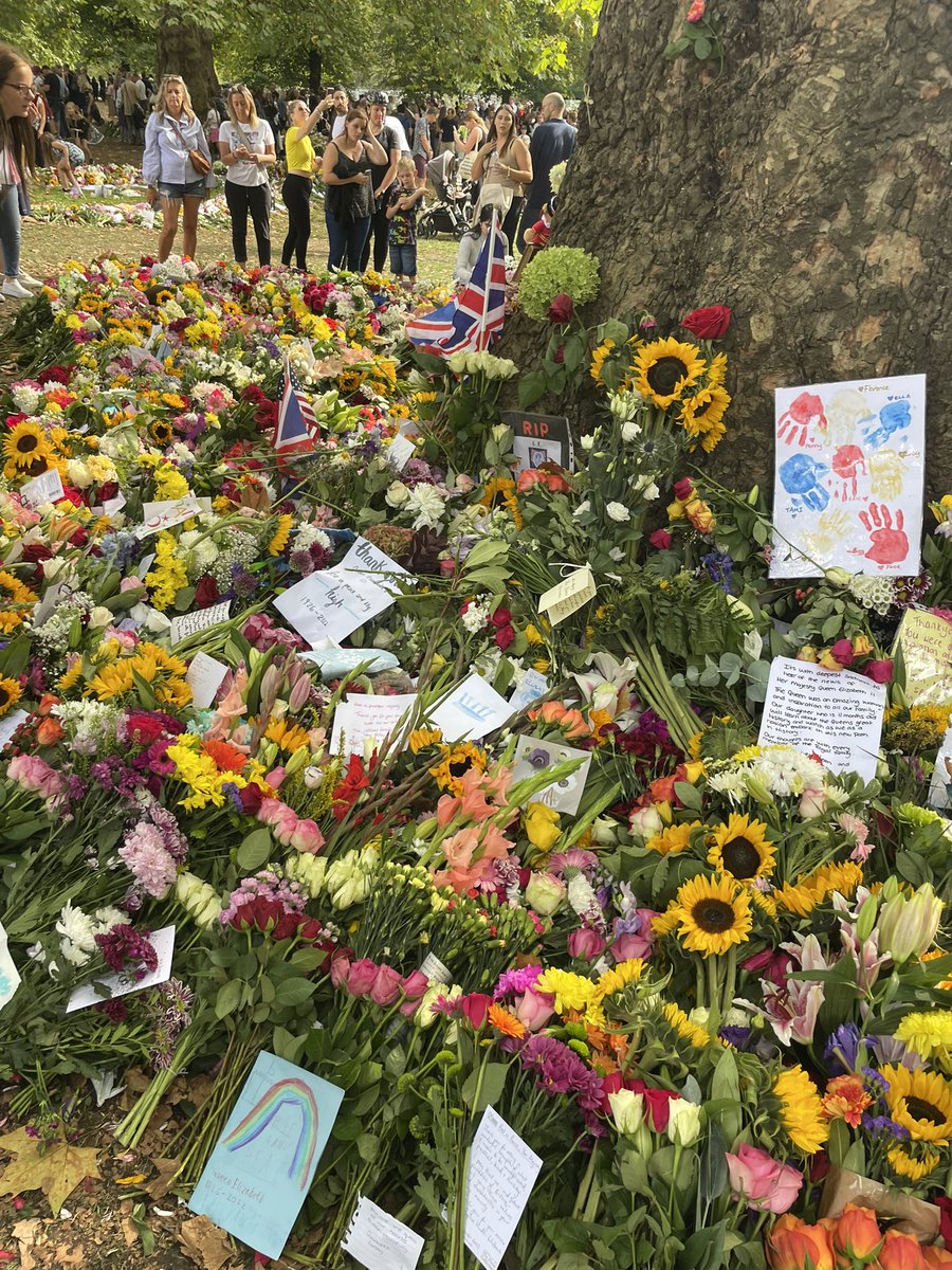 Nick Over tweet media