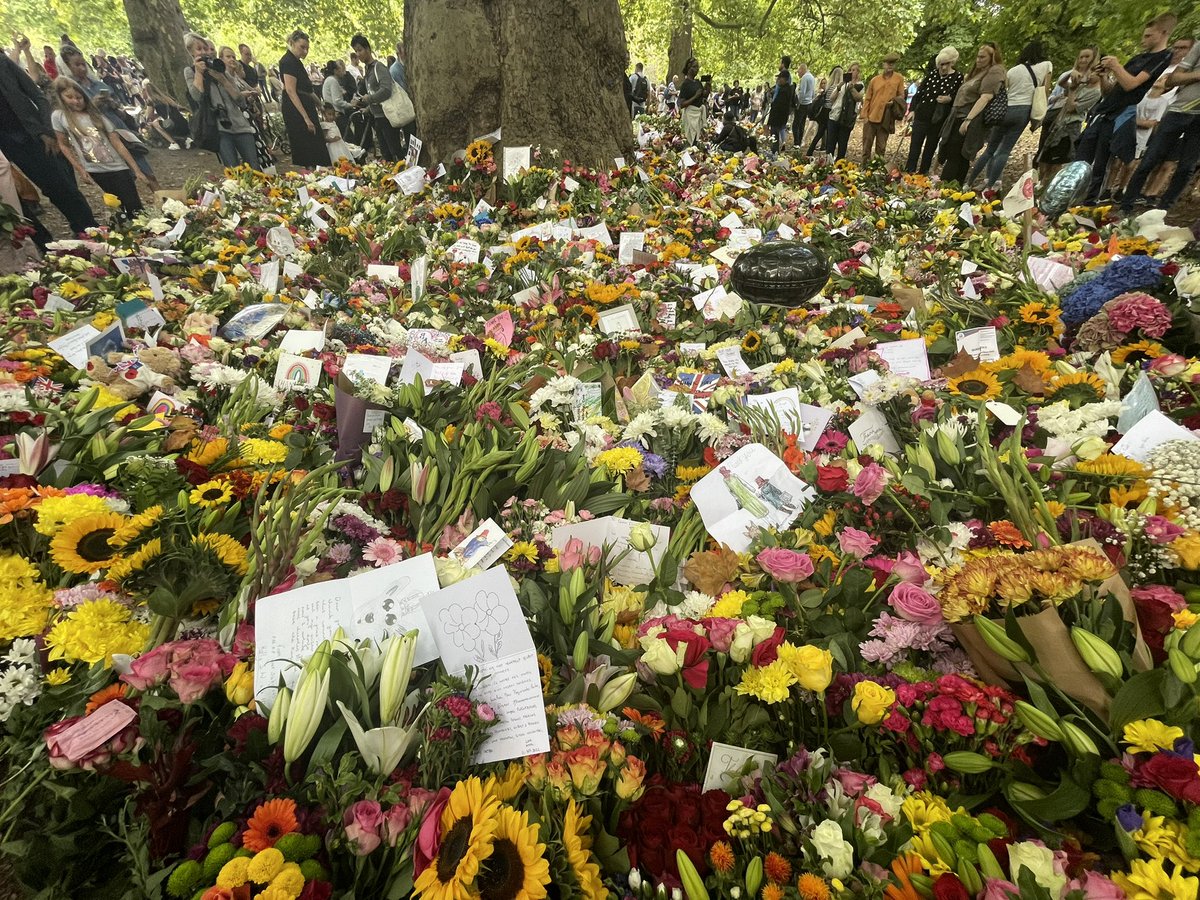 Nick Over tweet media