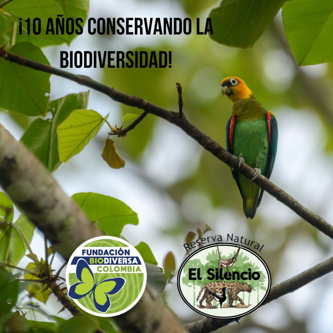 Biodiversa Colombia tweet media