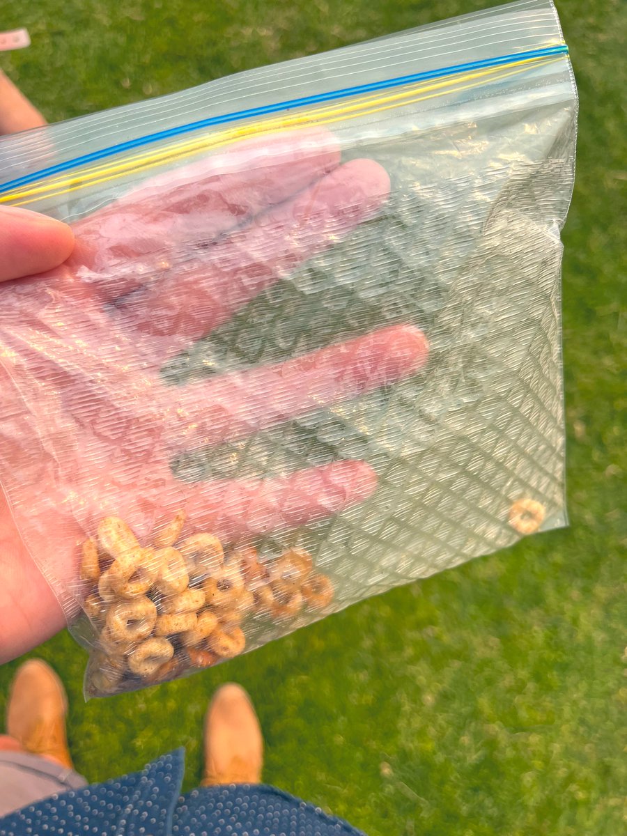 nickstecz's tweet photo. When you want even more freshness in your sandwich bags, try the new ribbed-for-her-pleasure series https://t.co/yVkzGeEdH5