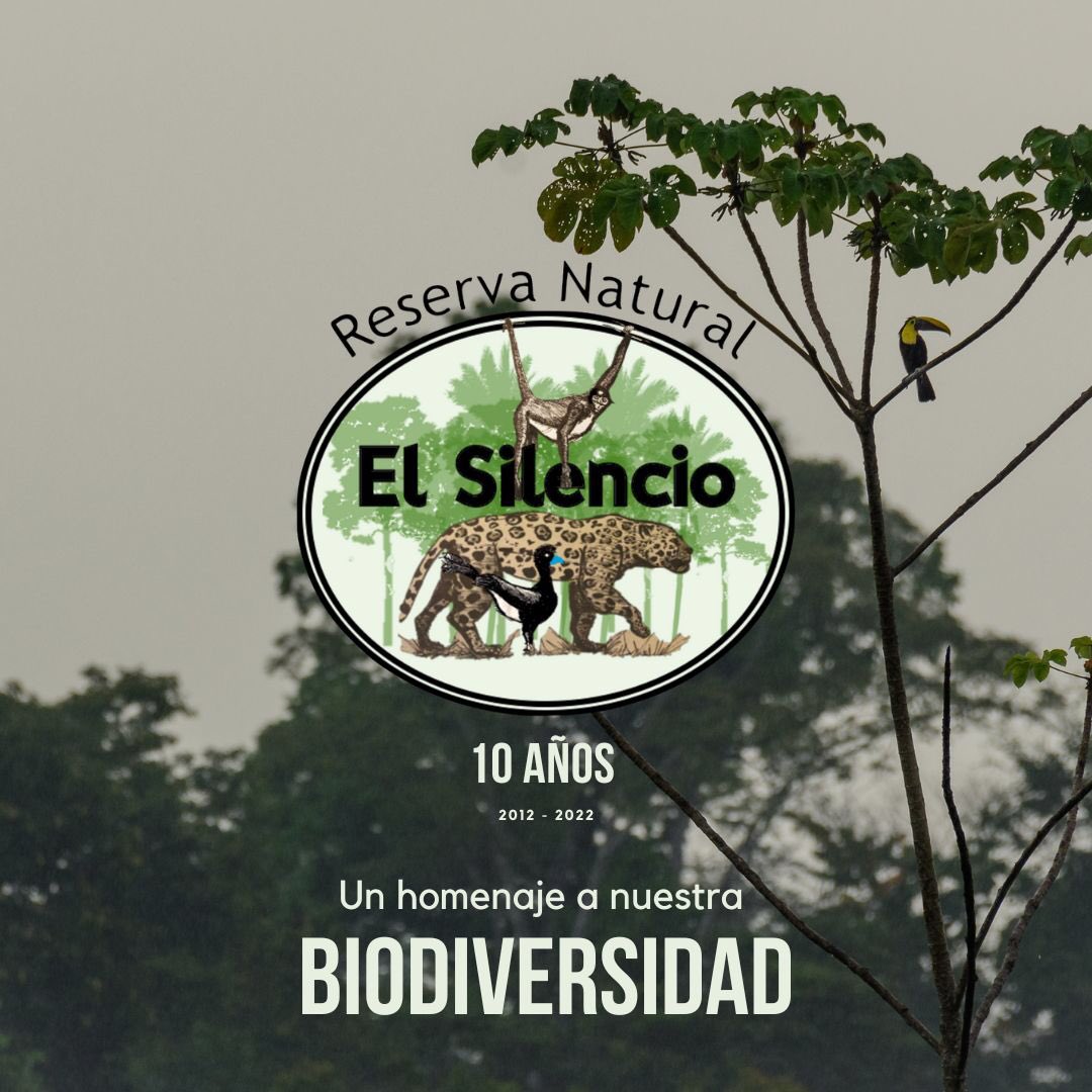 Biodiversa Colombia tweet media