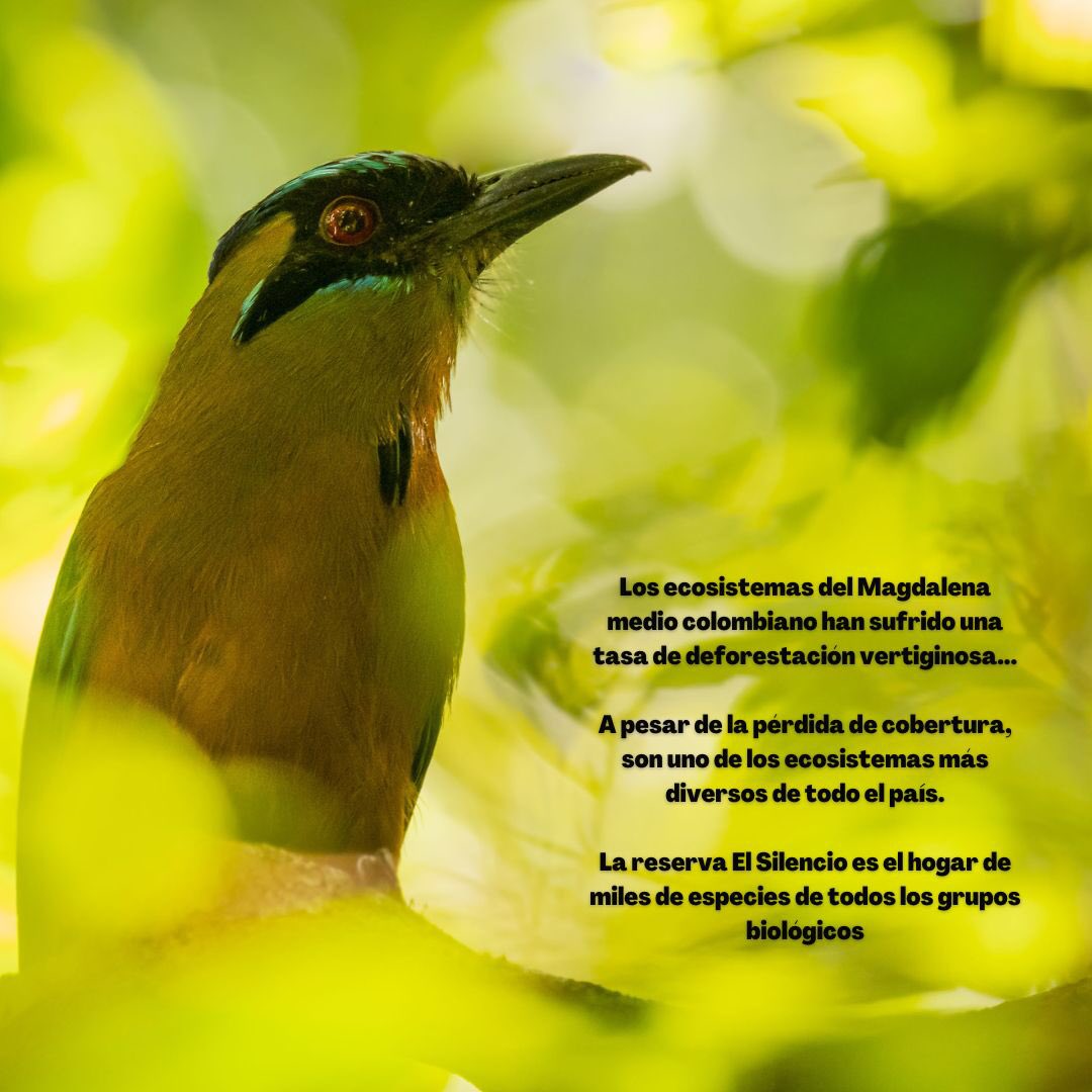 Biodiversa Colombia tweet media